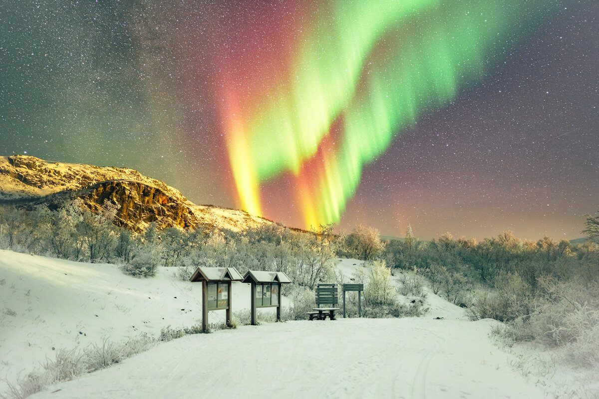 Картинка с бесплатного фотостока https://unsplash.com, автор Kristaps Ungurs