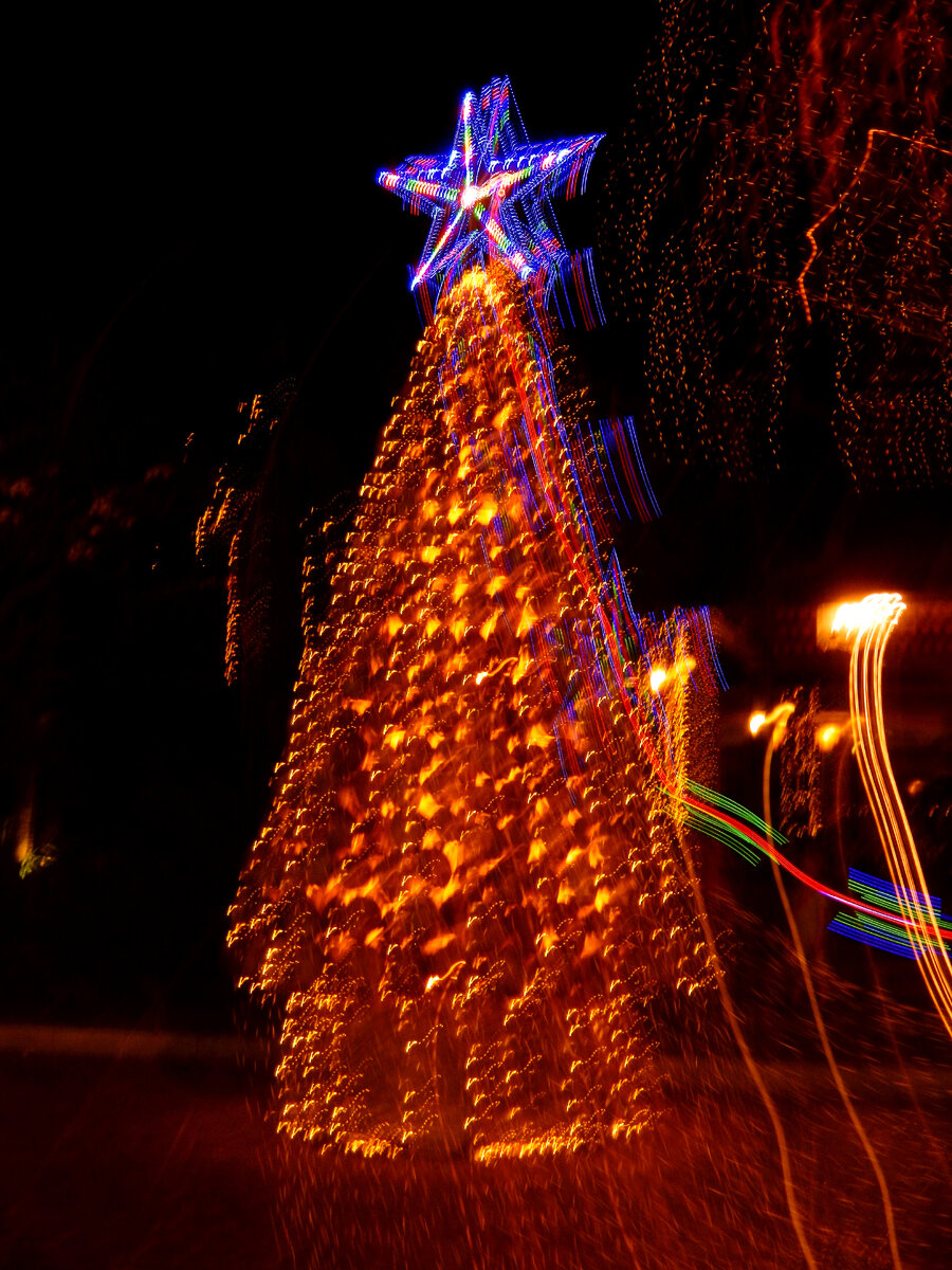 Вид ночью на ту же кокосовую ёлку. Радости нет предела, как и нет фокуса на фото))