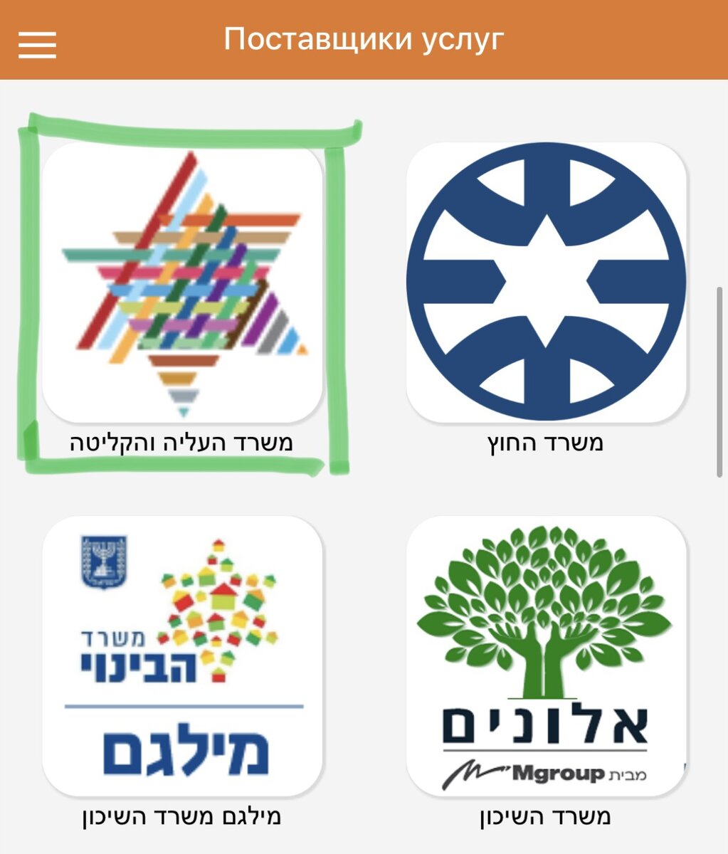 Зеленым выделена иконка, которую нужно выбрать для записи на консульскую проверку.  