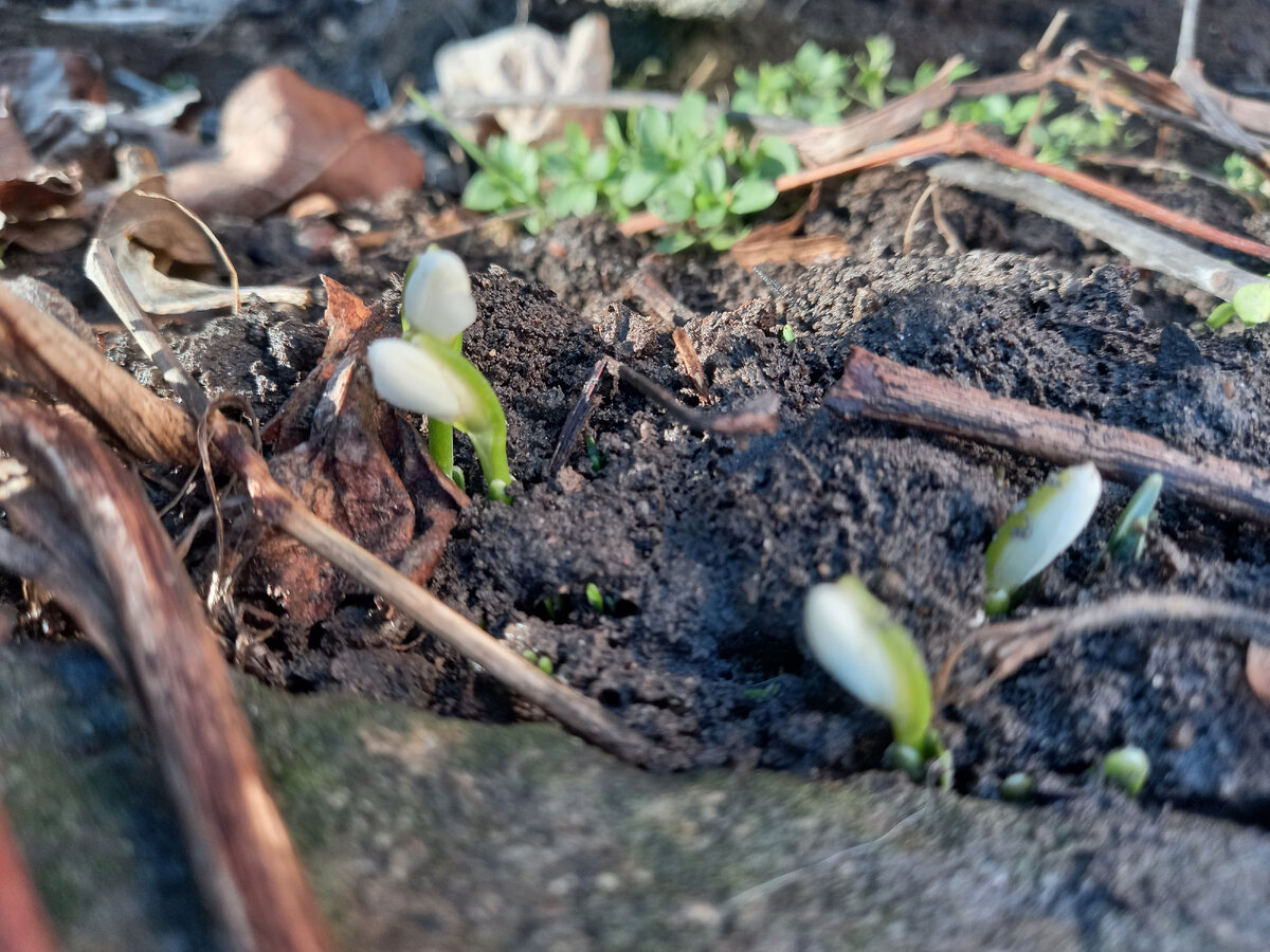 Явление героя | Оксана Нарейко | Дзен