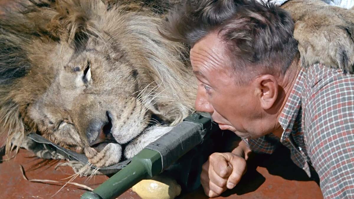 Кадр из фильма Фетина «Полосатый рейс»