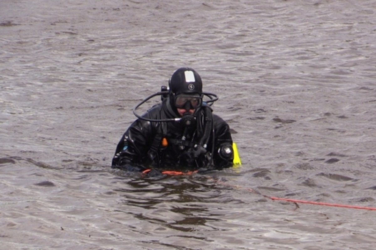    В Совете Федерации обсудили расчистку и укрепление берегов реки Клязьмы