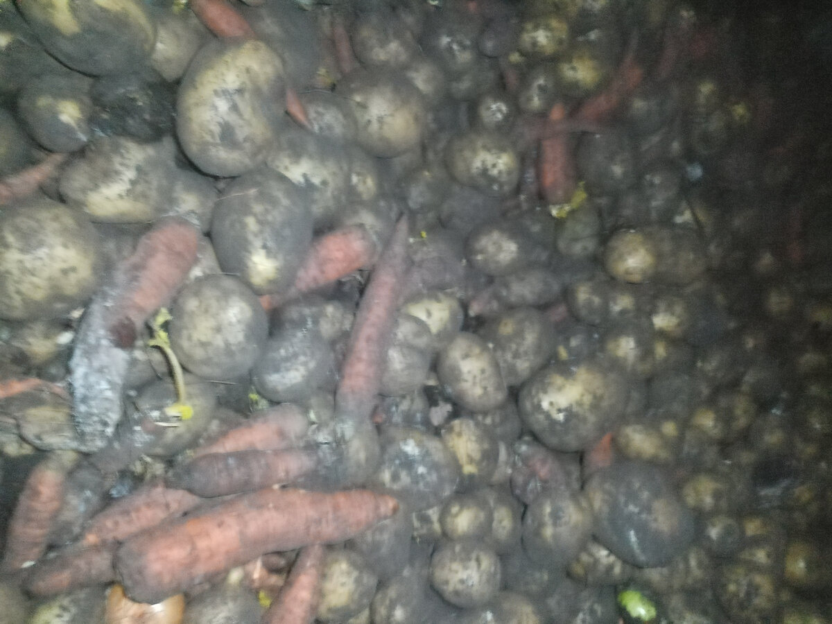 Фото с подполье.