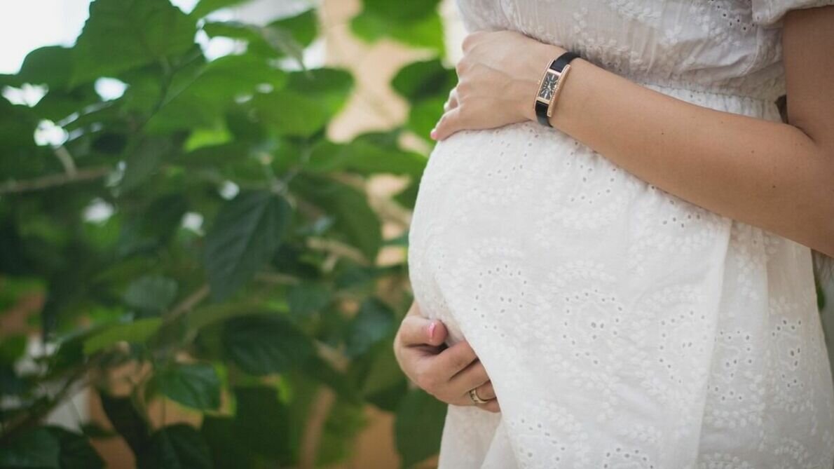     Спикер Госдумы Вячеслав Володин обеспокоился выездом беременных россиянок за границу для последующих родов. На своем Telegram-канале он отметил, что в 2022 году более 25 тыс. россиянок выехали для родов в Аргентину, США и другие страны, но при этом получают маткапитал и льготы в России.