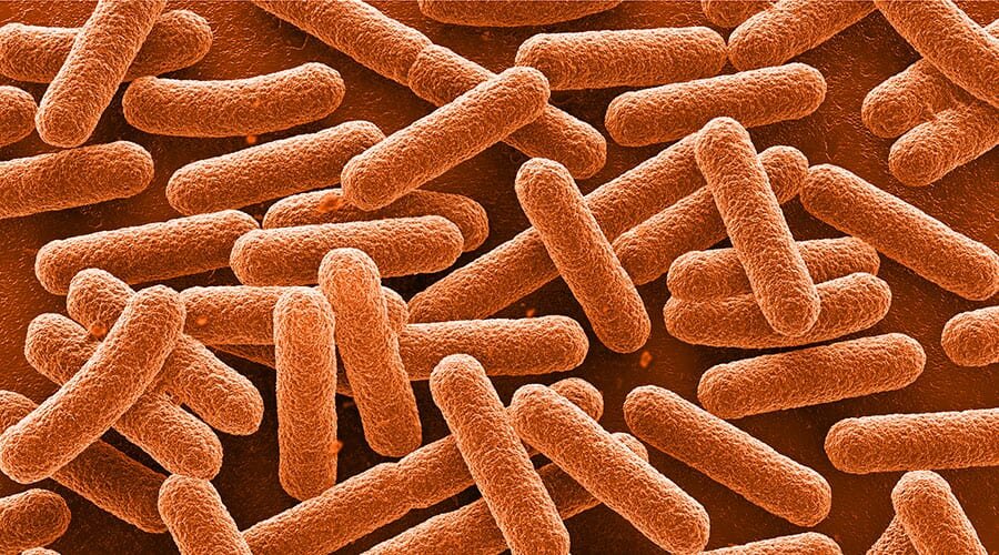 Ботулизм клостридии микроскоп. Бактерии клостридиум перфрингенс. Бактерия ботулизма. Бактерия ботулизма. Бактерии клостридиум ботулинум.