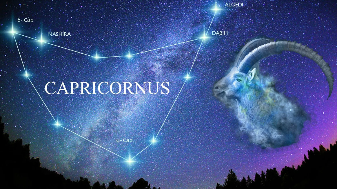 Яндекс.Картинки