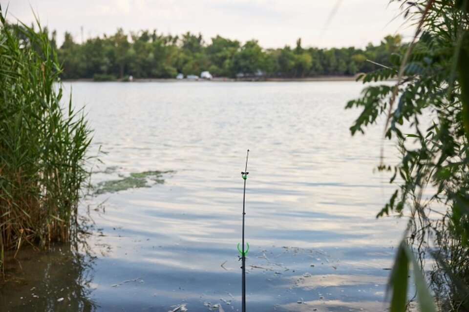     Чтобы порадовать сына возлюбленной, ее сожитель устроил совместный выезд на природу. Николай ОБЕРЕМЧЕНКО