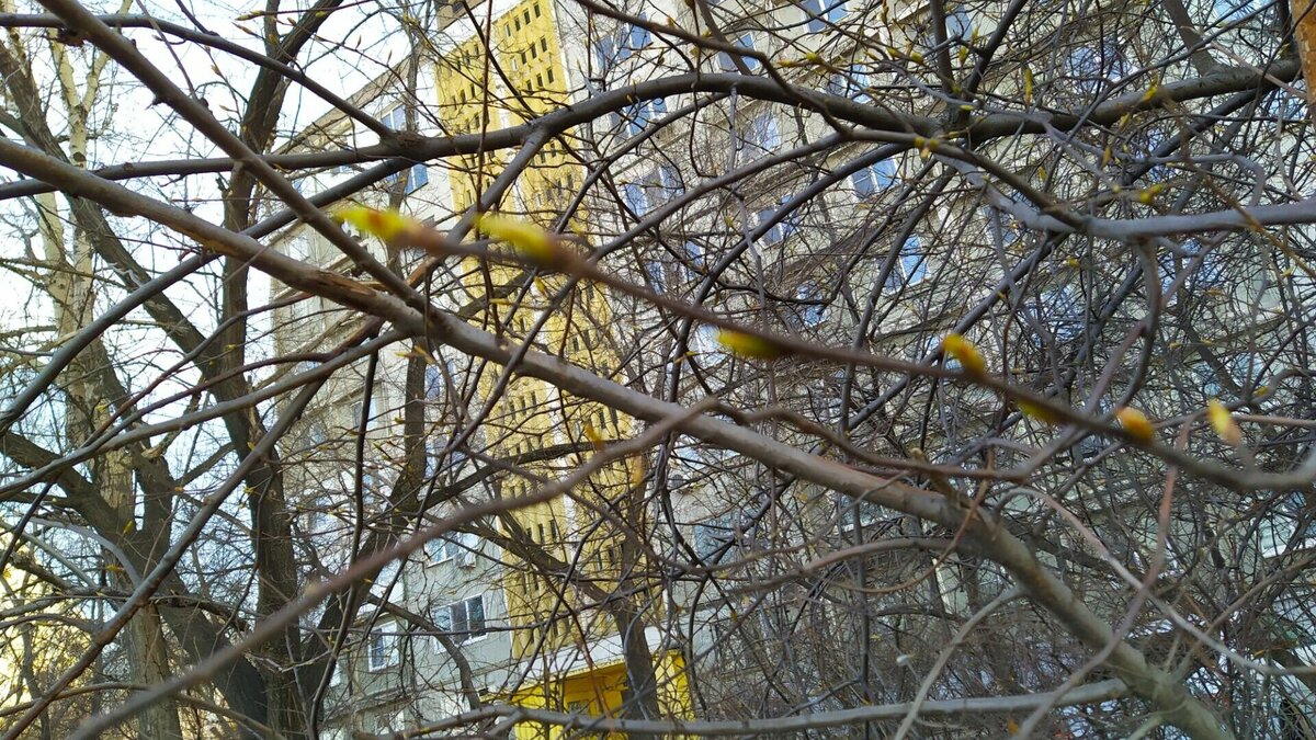     Как сообщили в Центре управления регионом Хабаровского края, на этой неделе жители краевой столицы обсуждали в соцсетях вопросы благоустройства города.