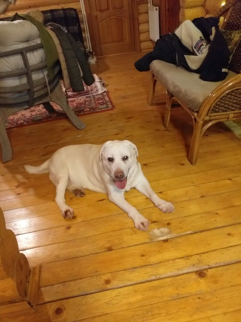 В новой семье