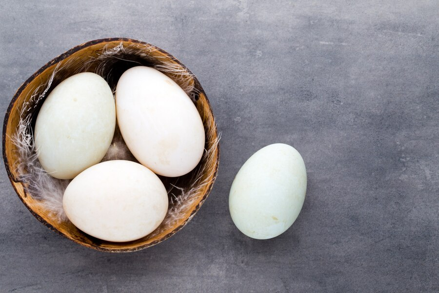 Утиные яйца. Цвет утиное яйцо. Французские яйцо утки. Яйца серой утки. Почему яйца серые
