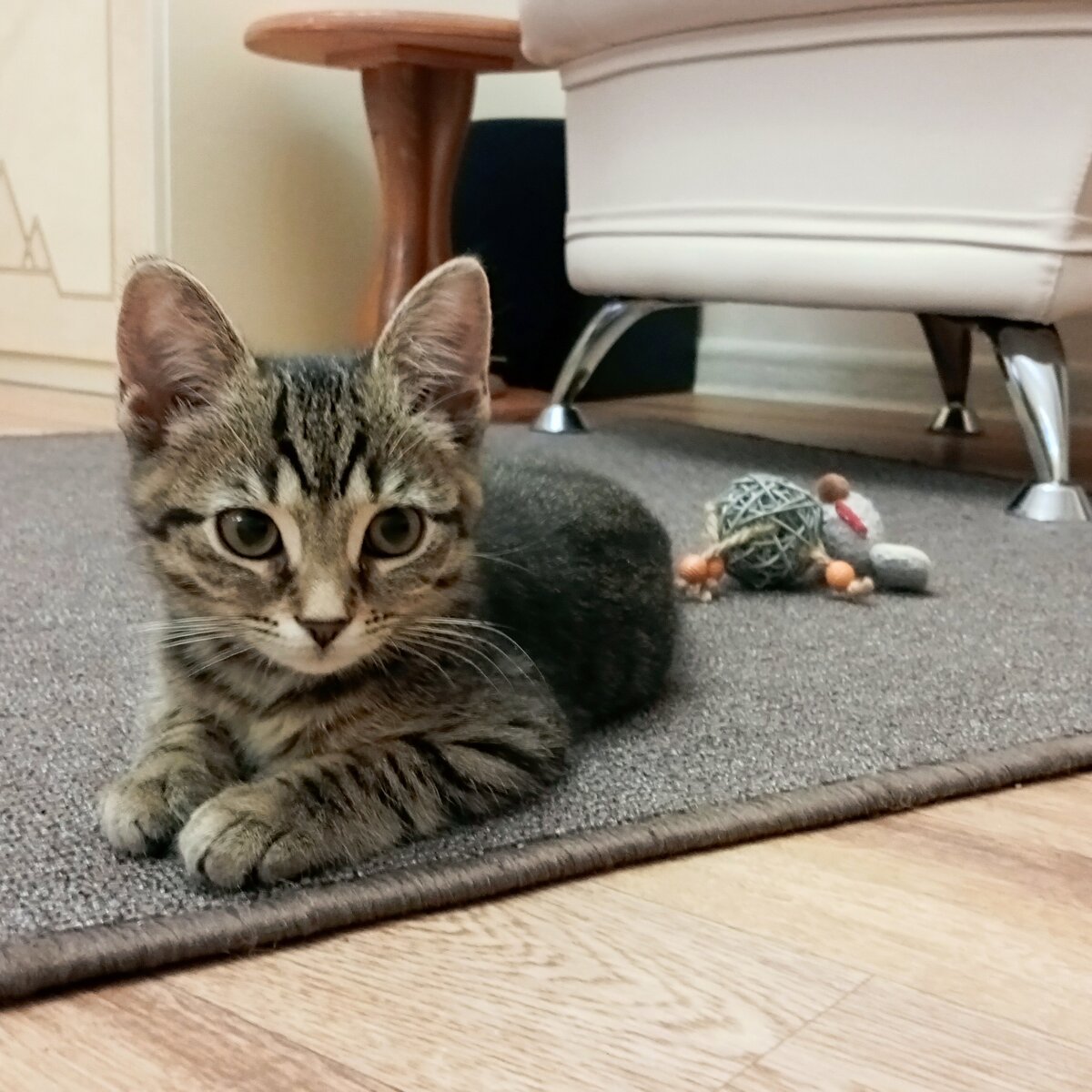 листать галерею не воспрещается :)