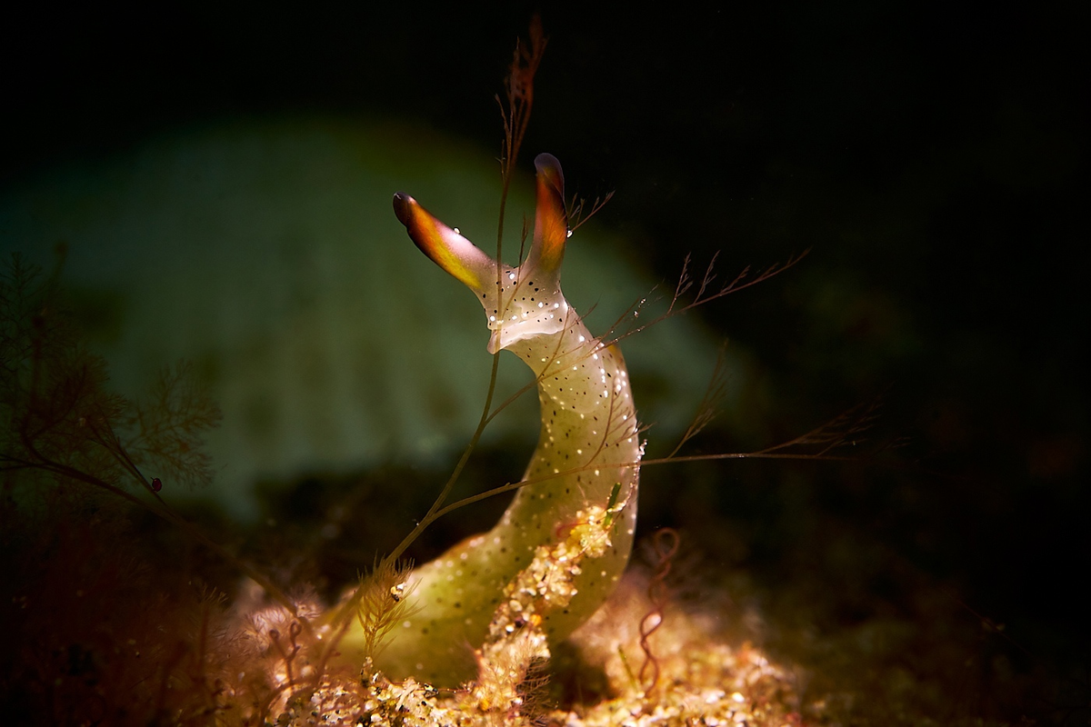 Если бы в модном приговоре было такое жюри, смотреть шоу было бы в разы интереснее...