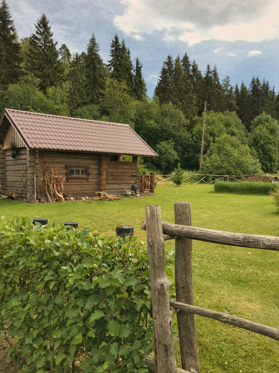 Такие леса в Карелии. Фото Евгения Фуд.
