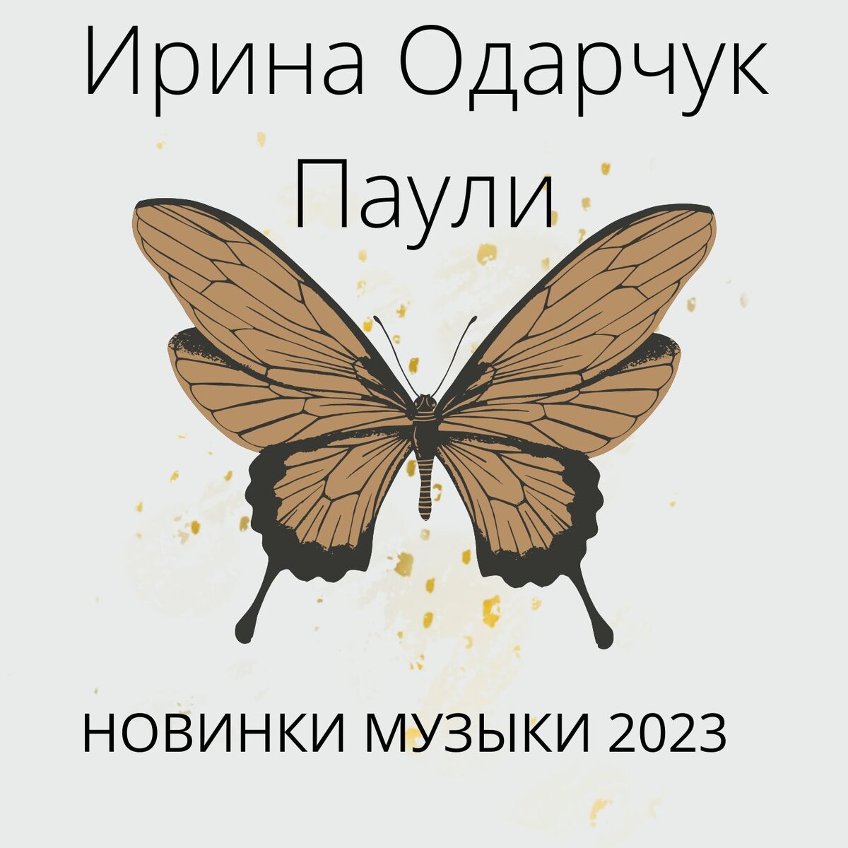 Обложка к треку Ирины Одарчук Паули