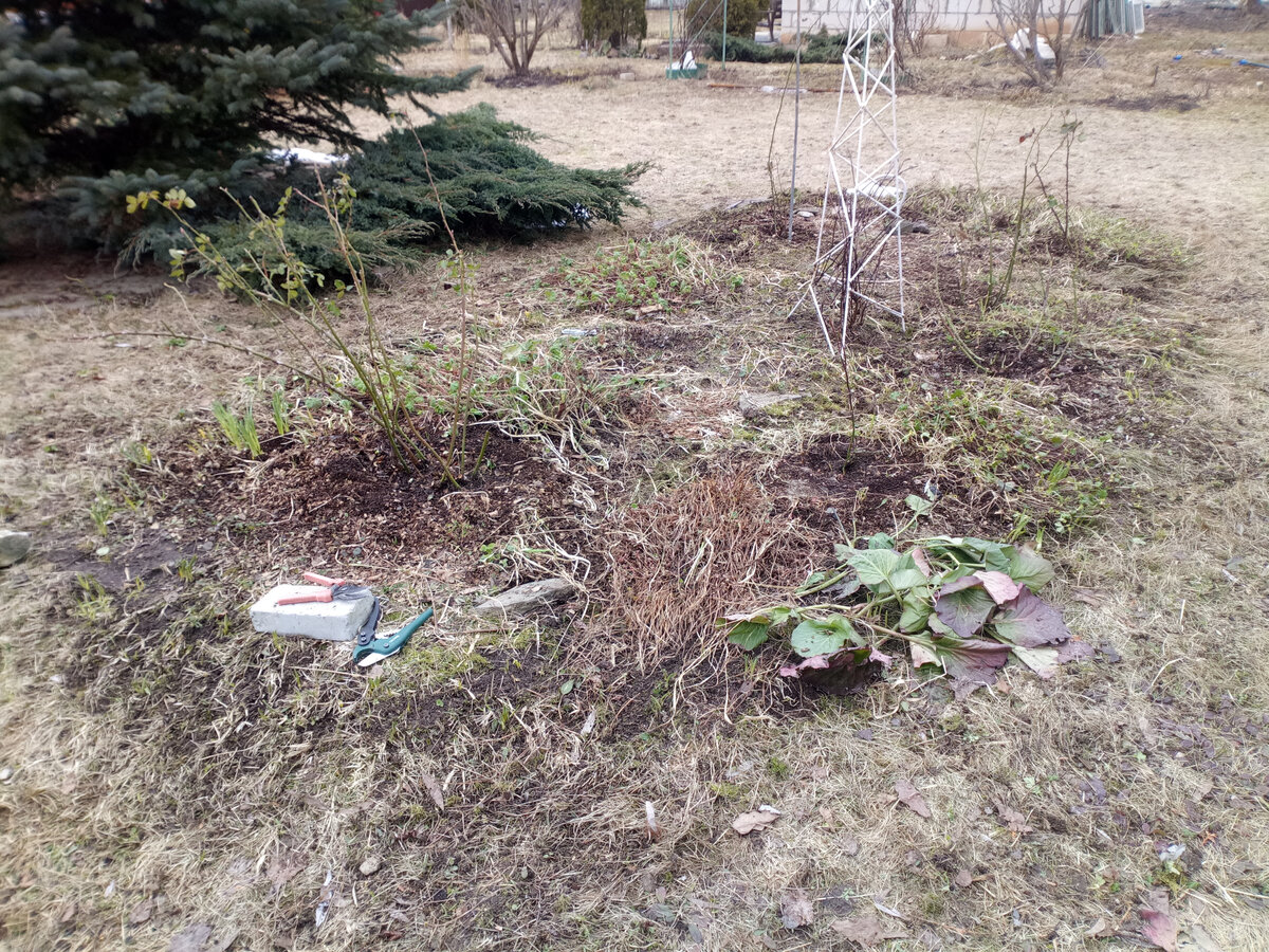 Что-то спасли)