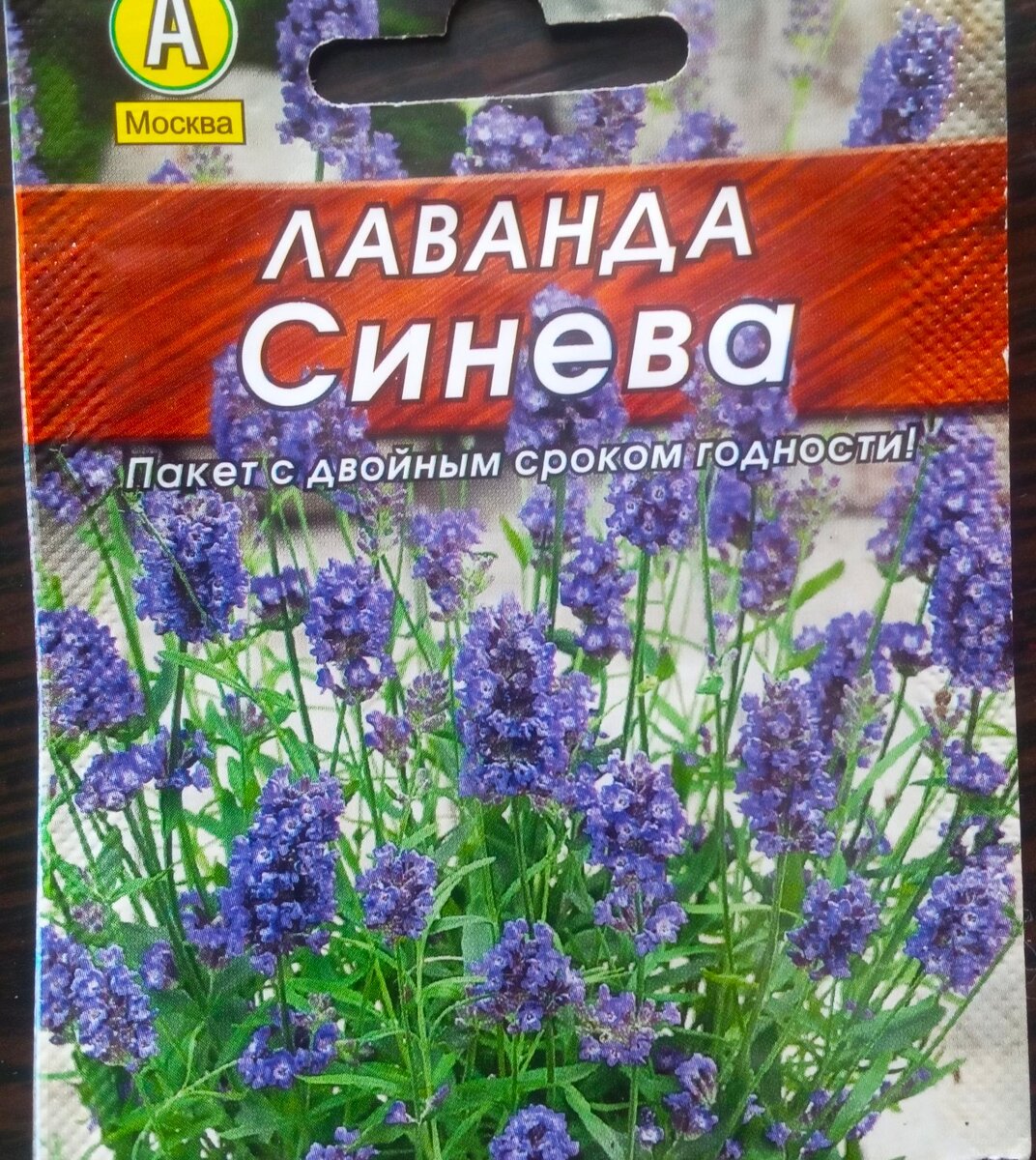 Лаванда синева описание сорта. Лаванда сорт синева. Лаванда синева морозост. Лаванда синева на газоне.