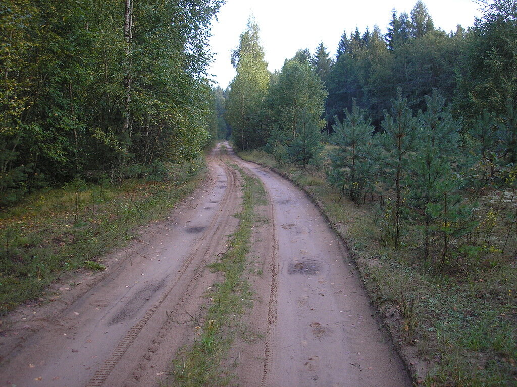 Фото автора рассказа 