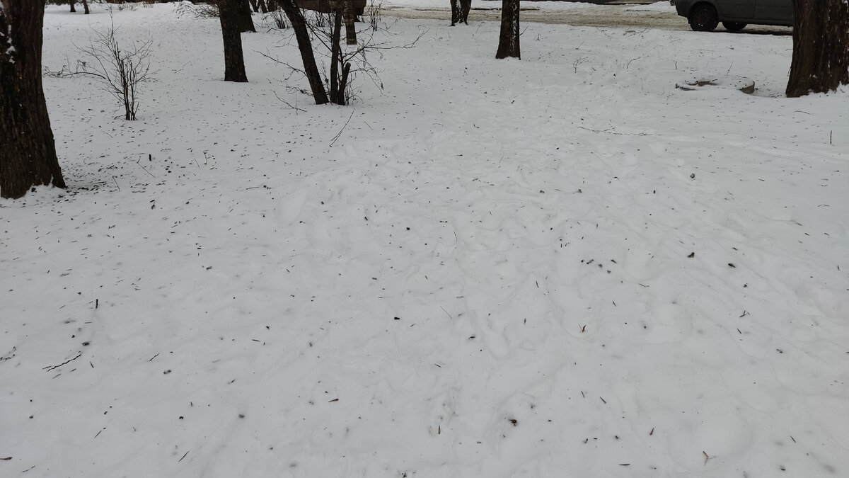 Рядом с нашим двором. 