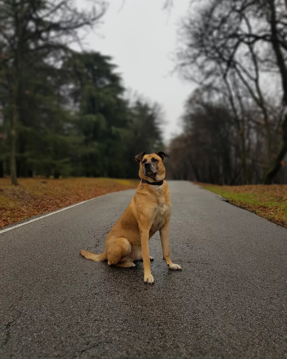 Наш мальчик 🧡