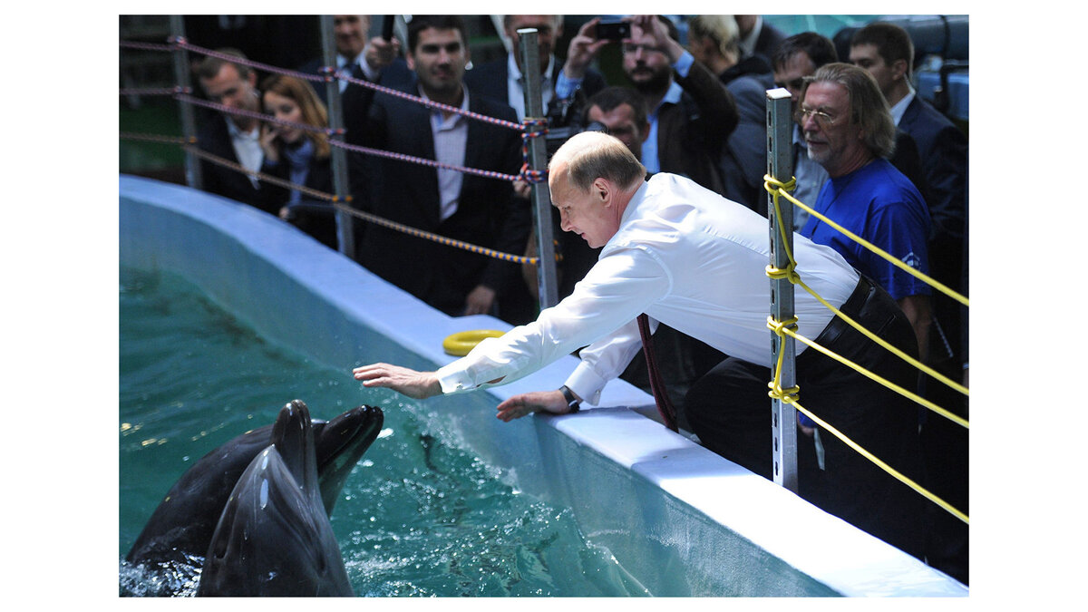    Владимир Путин во время посещения Приморского океанариума© РИА Новости . Алексей Никольский