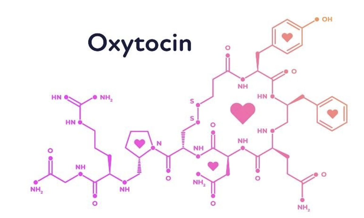 Окситоцин формула картинка
