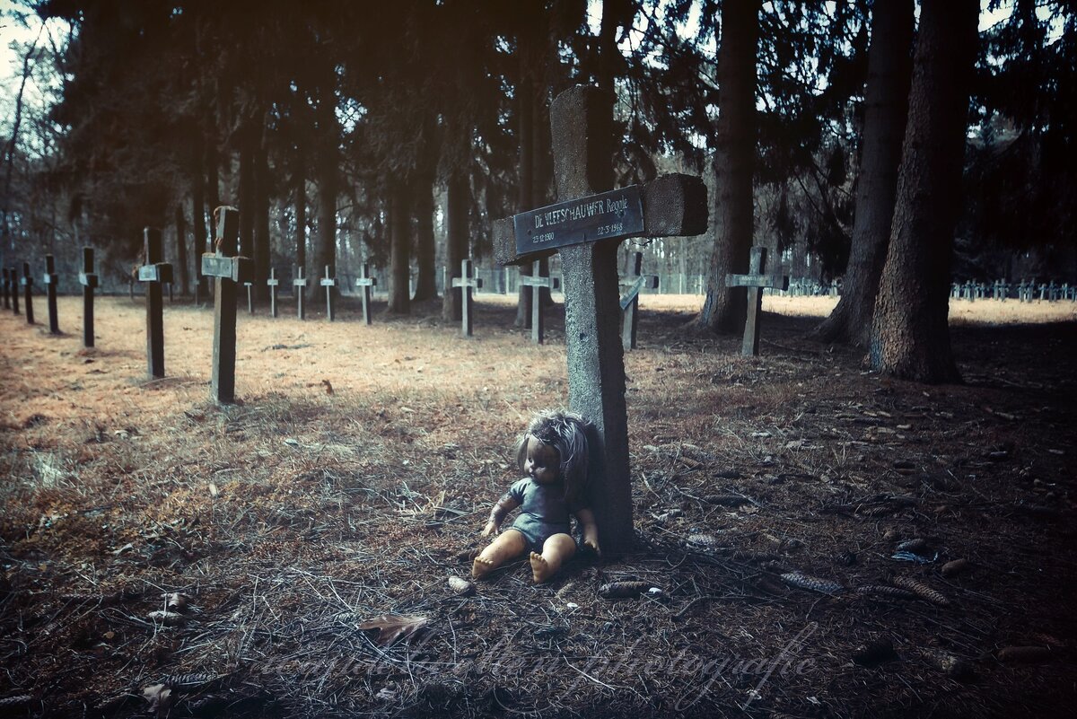 Фото из открытых источников интернета