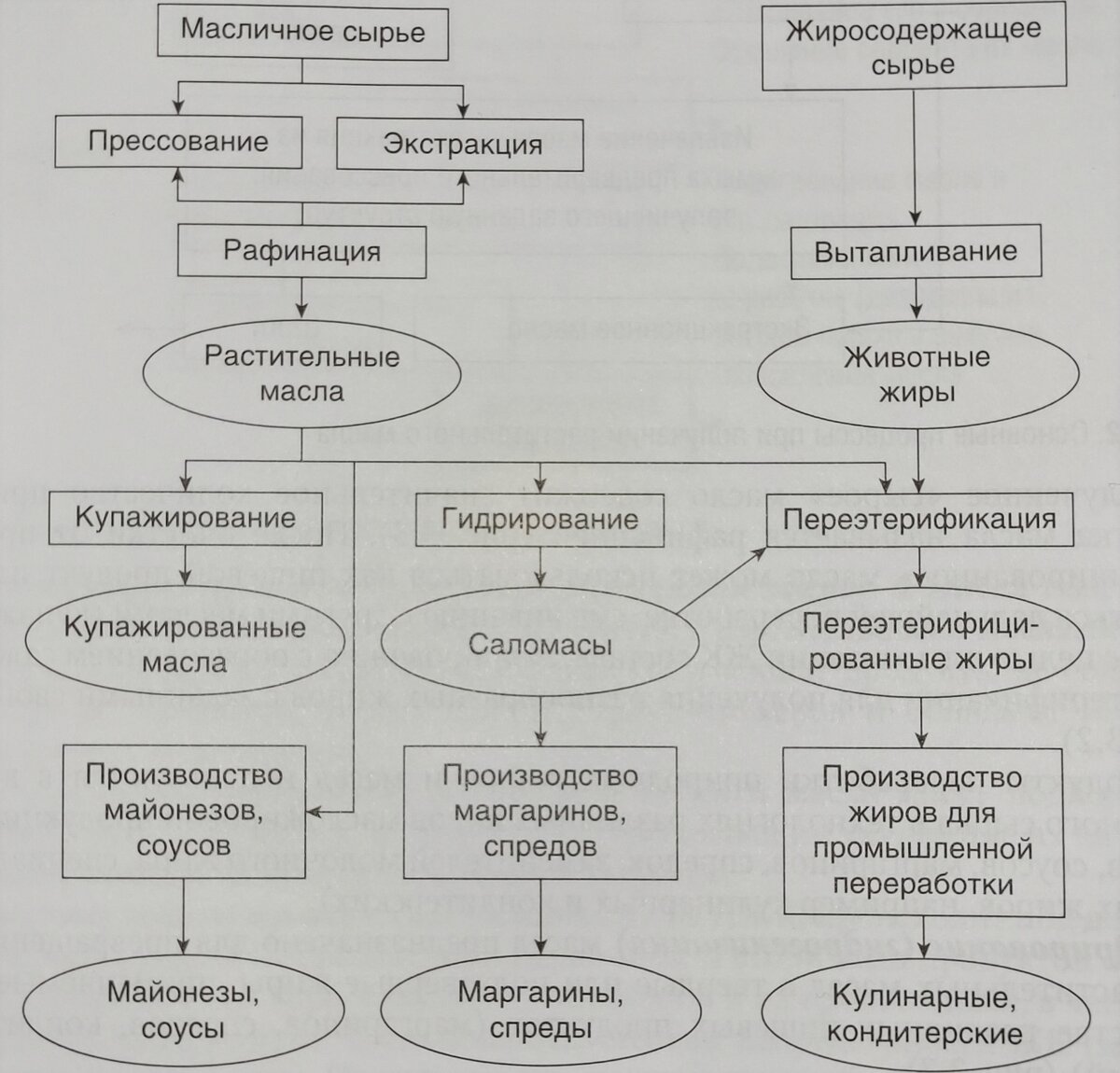 Жиры – причина ваших болей.