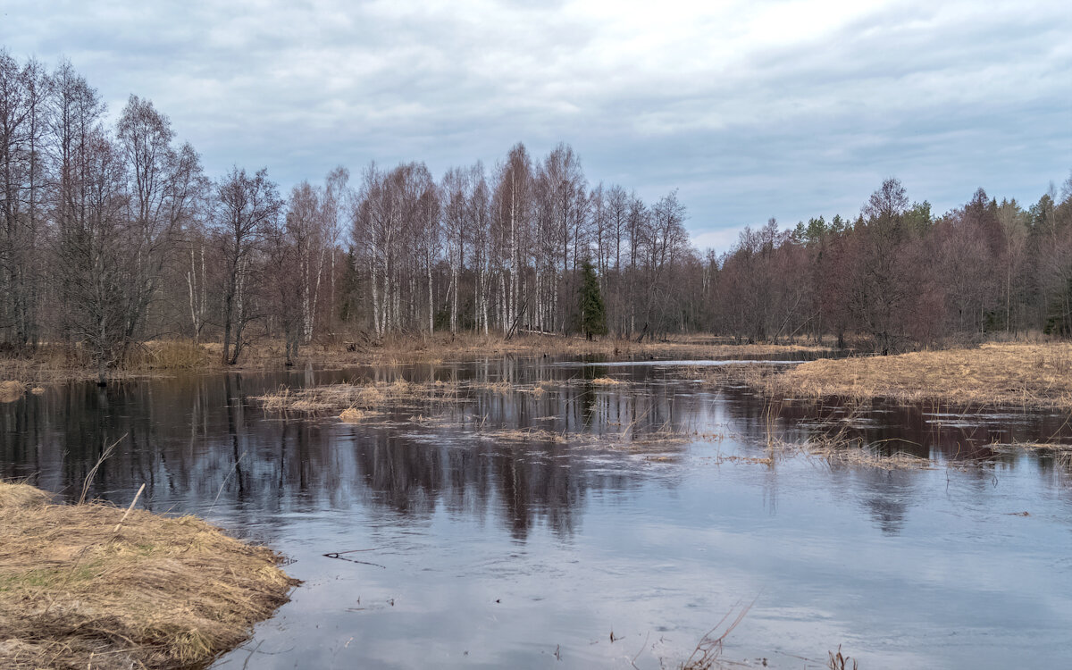 река Номжа в весеннее половодье