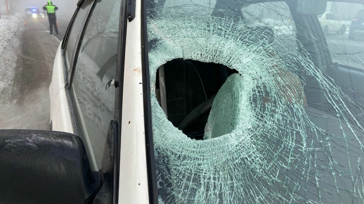     В Абакане сегодня случилась смертельная авария. Женщина переходила дорогу по пешеходному перехожу, когда ее сбила легковушка. Вот что об этом известно.