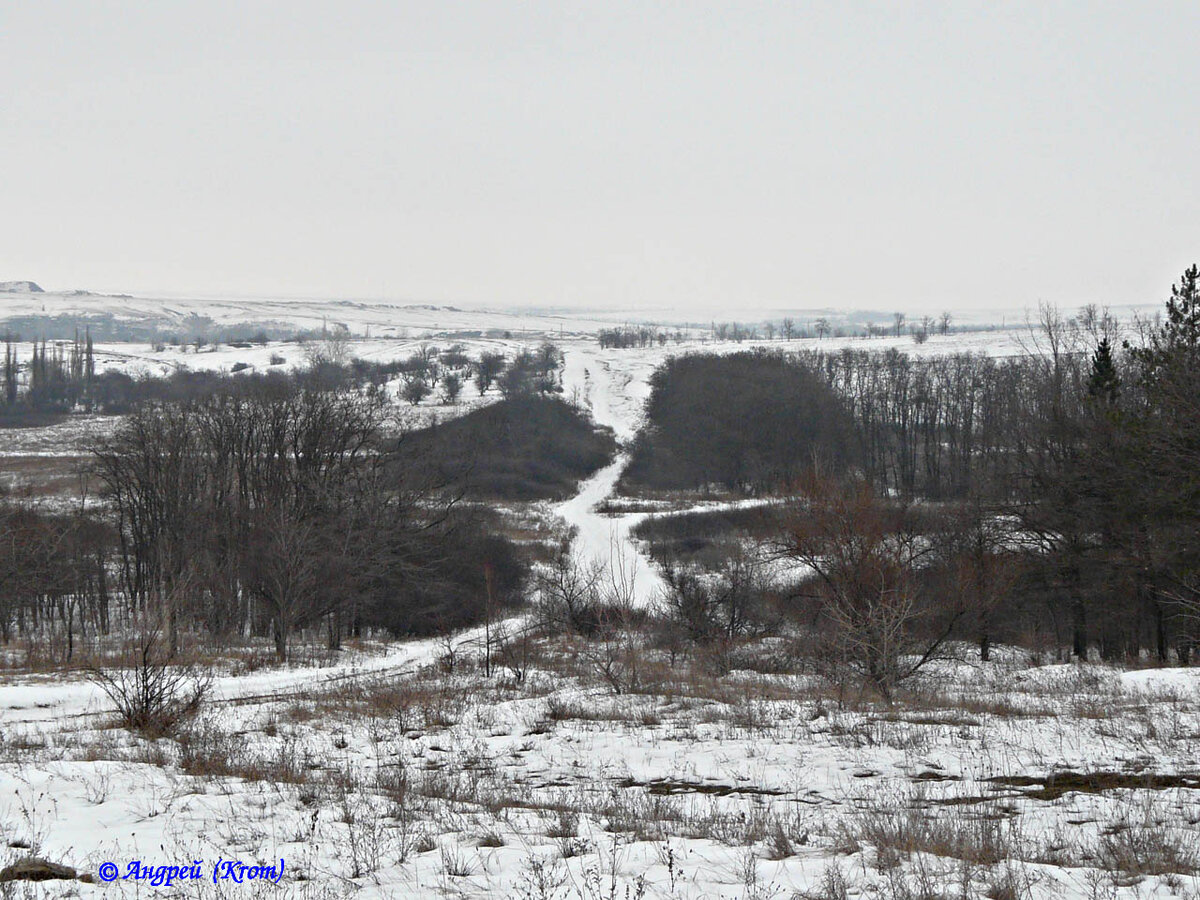 Дорога в сторону Прохоровки