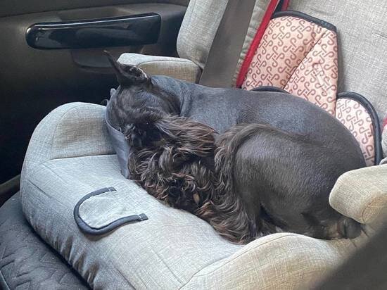     Фото: МК в Туле