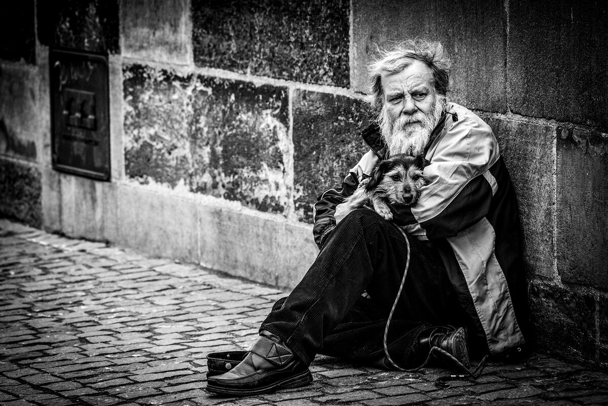 Каким то дряхлым инвалидом глядел сей. Бездомный старик. Старик и собака. Немощный старик на улице. Одинокий старик.