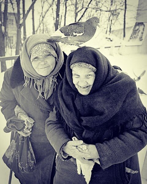 Фото взято из интернета 