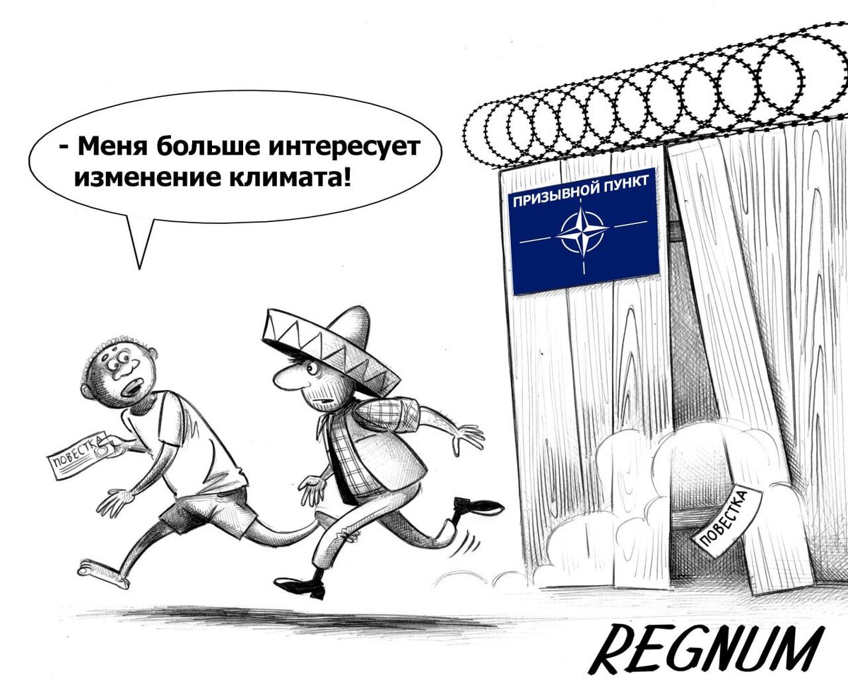    Латинская Америка и Африка «не явились на войну» против России Сергей Корсун (c) ИА REGNUM