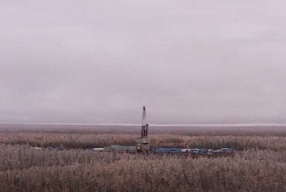     На Севере нефтяникам встречаются останки древних растений. Фото: Ямал 1