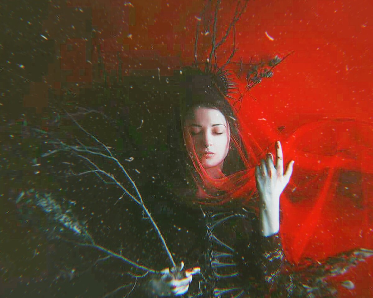 Яндекс Картинки