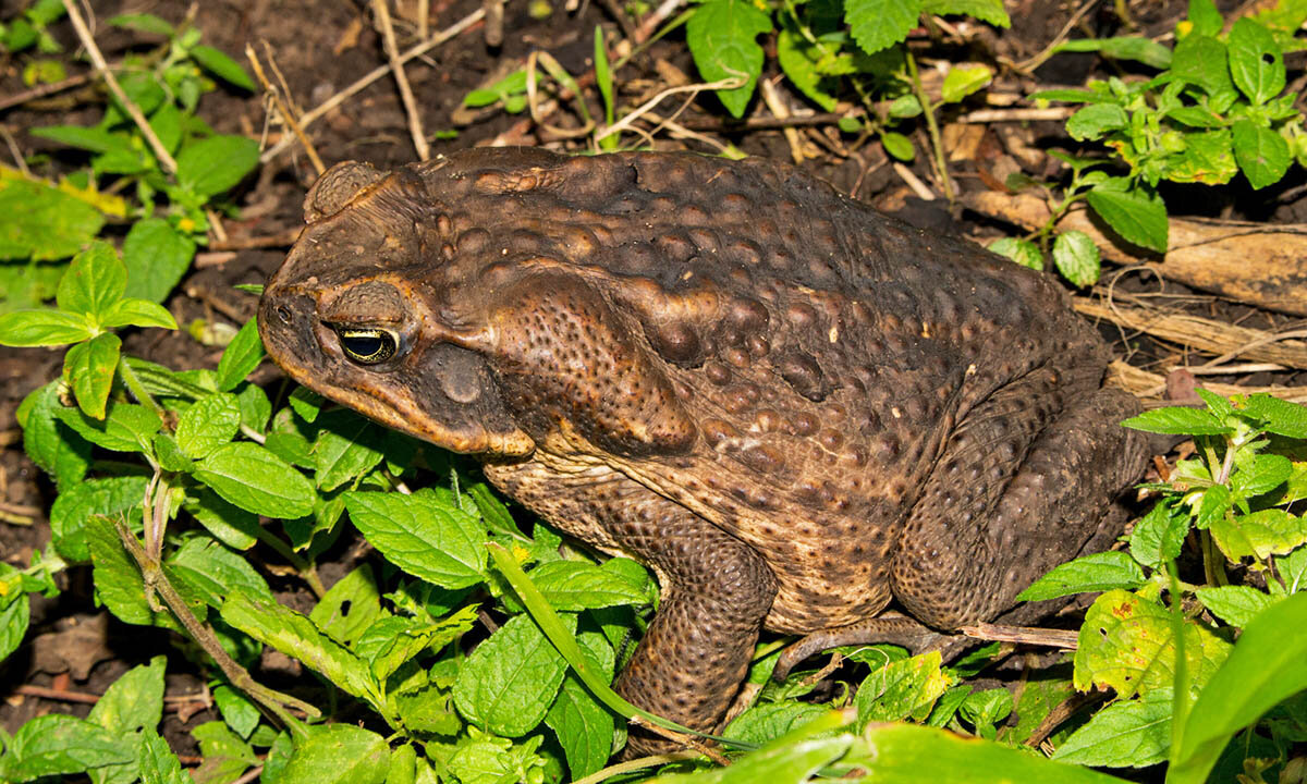 Photo by Markus Branse