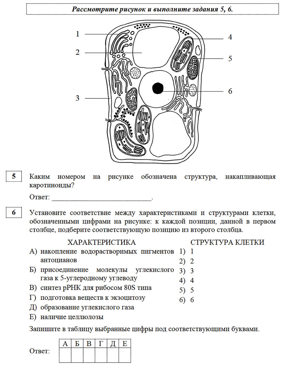 Рабочая программа по биологии 2023