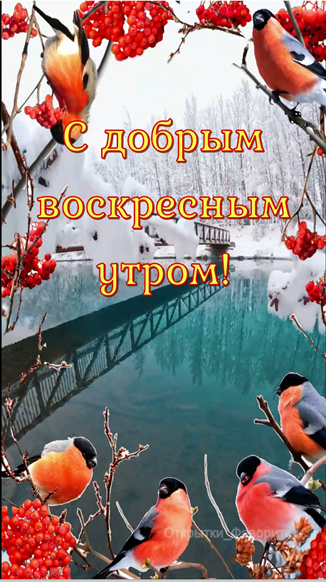 Открытки с добрым воскресным утром зимние прикольные