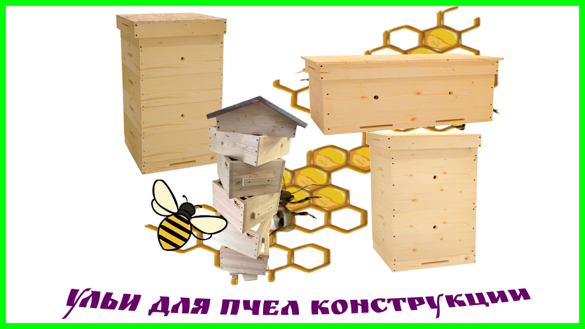 Улья выбор конструкции