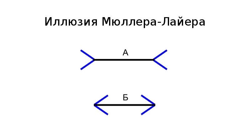 3 самые популярные мировые иллюзии. Проверь свое зрение | DUM-DUM | Дзен