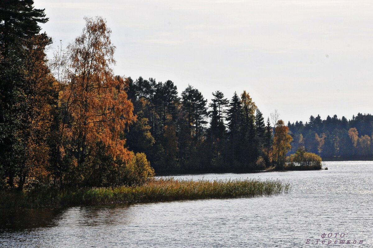 острова Селигера.Фото: Е.Терешков