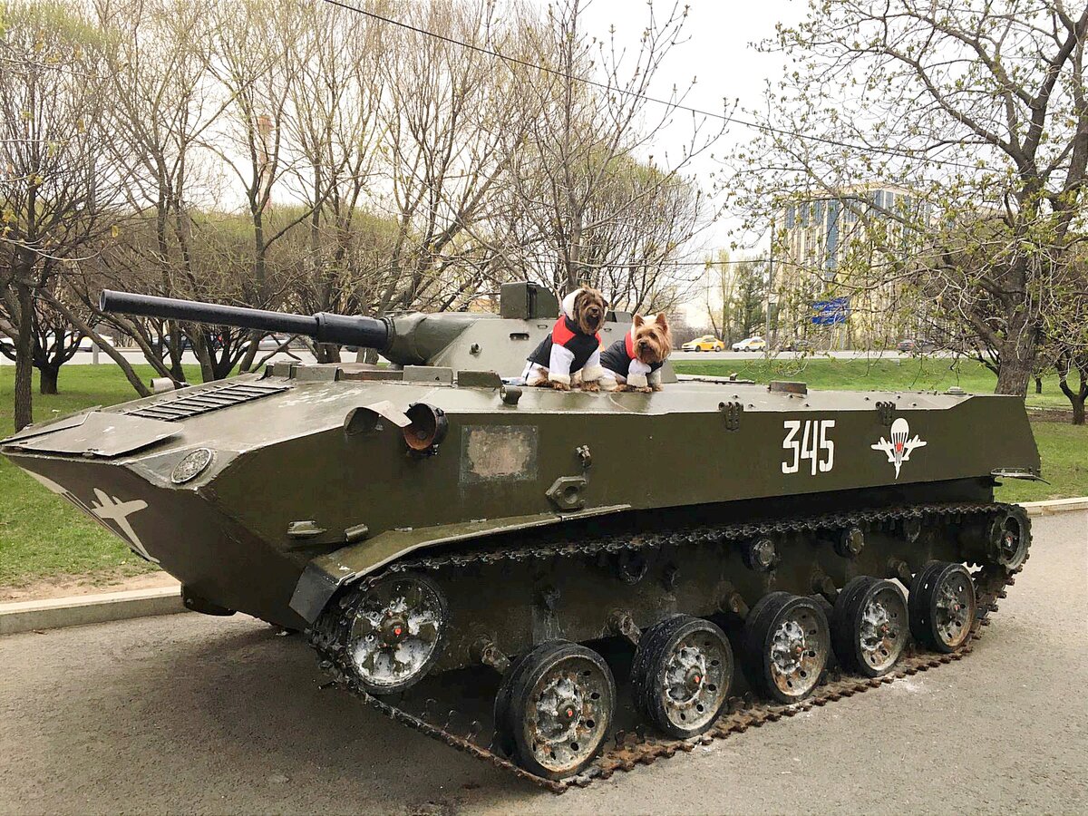 Парк Победы. 