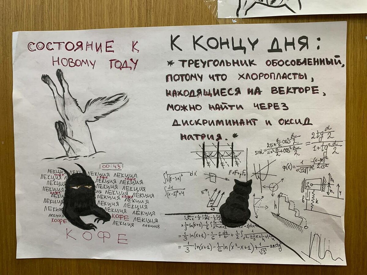 Вот примерно так чувствовали себя мои 9-классники к Новому году :)