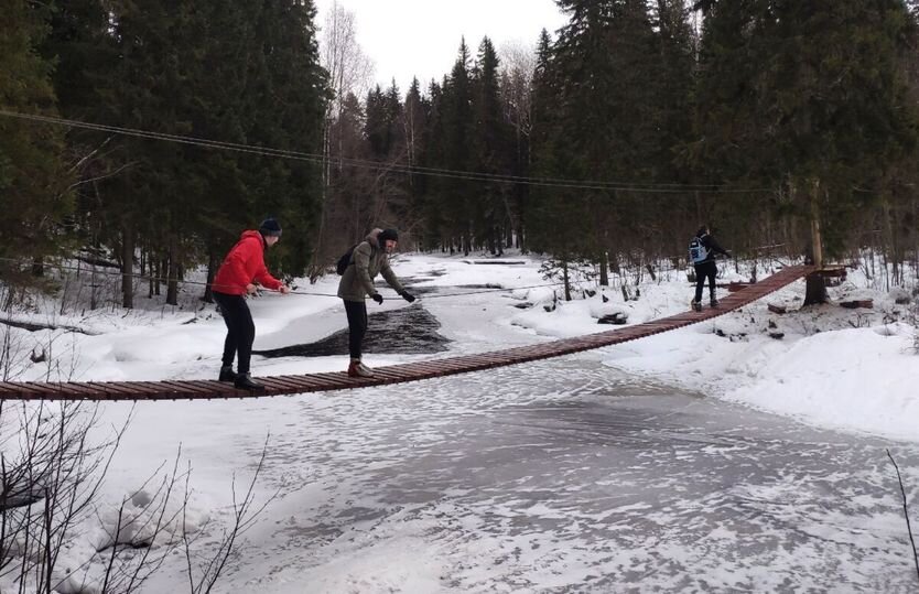     Фото: портал "Карелия.Ньюс"