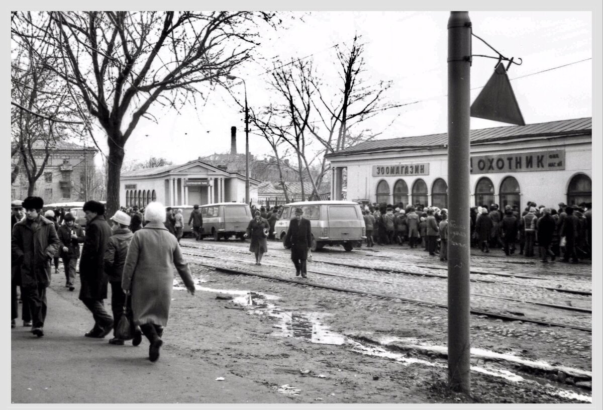 старый птичий рынок в москве