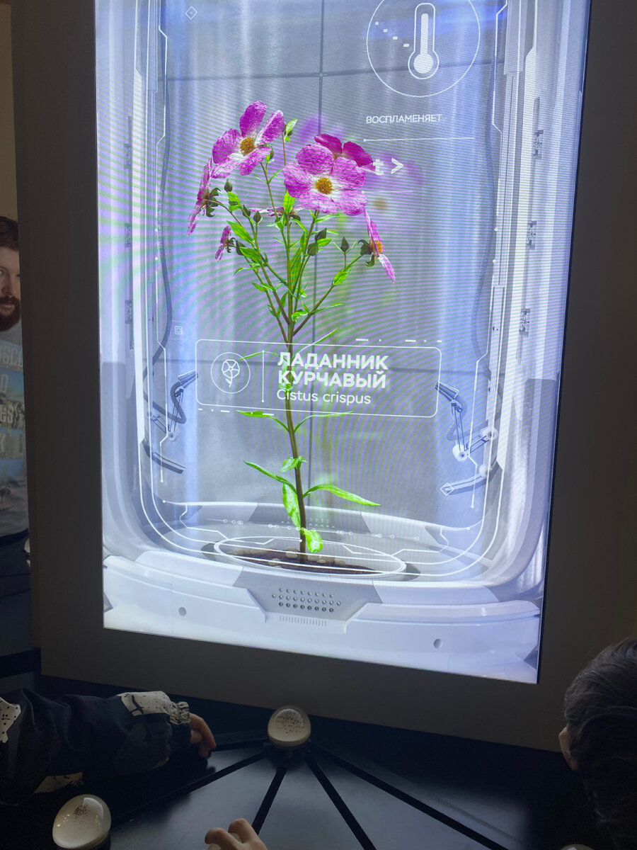 Очень понравилась выставка