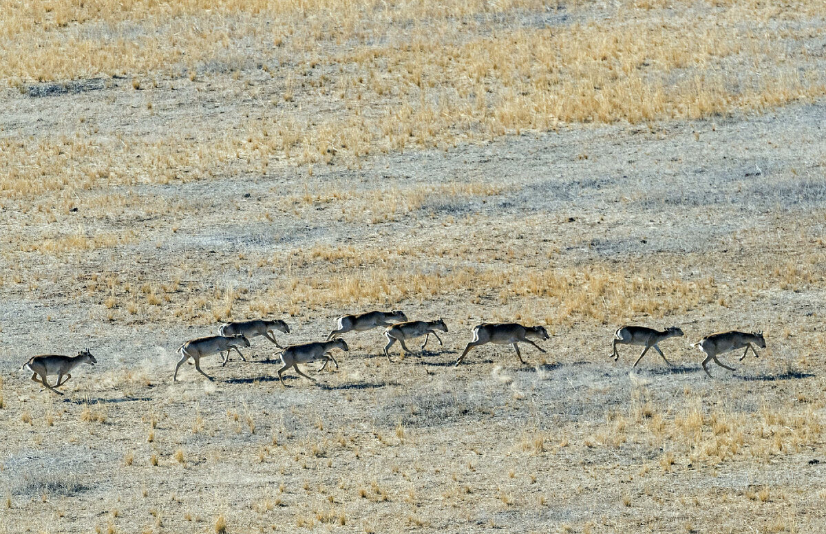 Фото: Serguei Fomine/Globallookpress