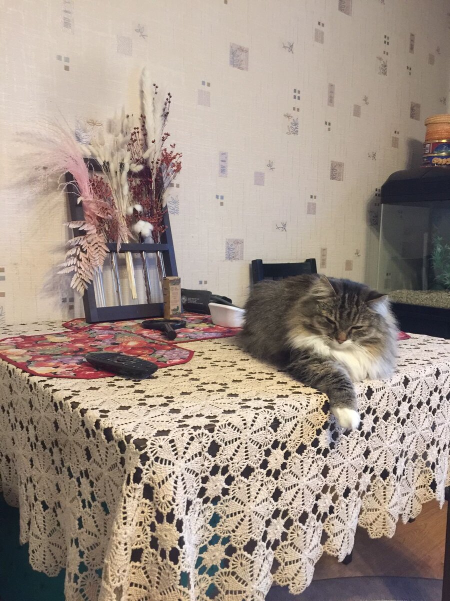 пока хозяев нет дома...