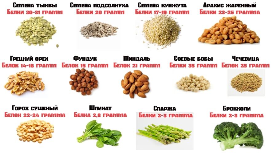 Что такое белок в продуктах питания список с фото